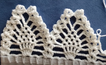 How to Creat a BEAUTIFUL CROCHET BEAK Border completely for beginners